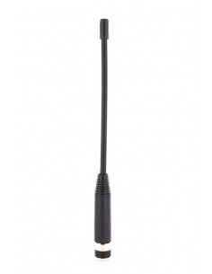 ANT 42