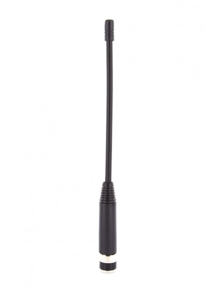 ANT 42