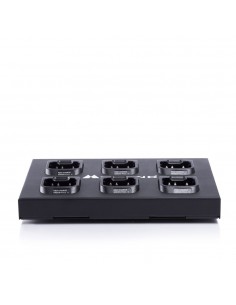 Cargador MULTI CA PB-G10