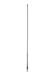 ANT 42 2
