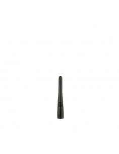 Antena corta
