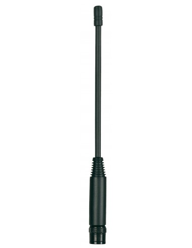 ANT 42