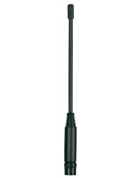 ANT 42