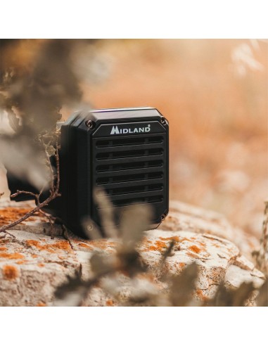 AU50 XTREME Altavoz