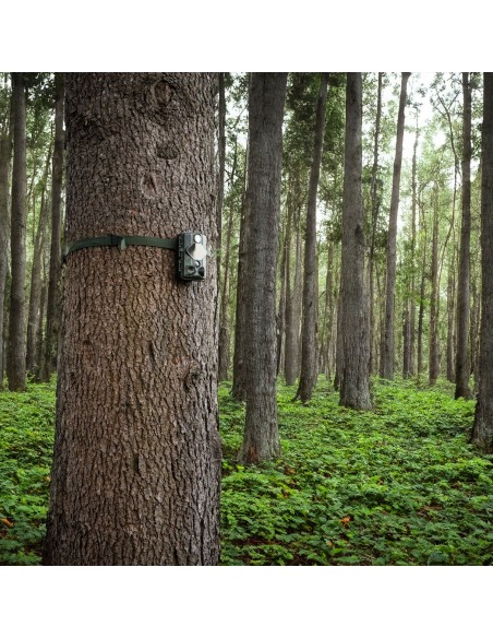 Wild Guardian WiFi