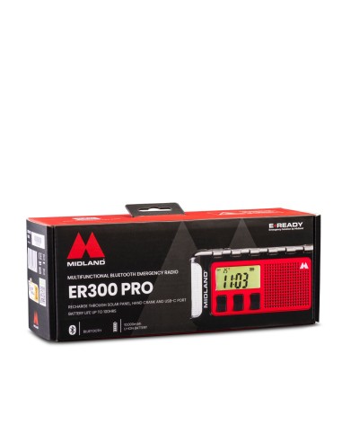 ER 300 Pro